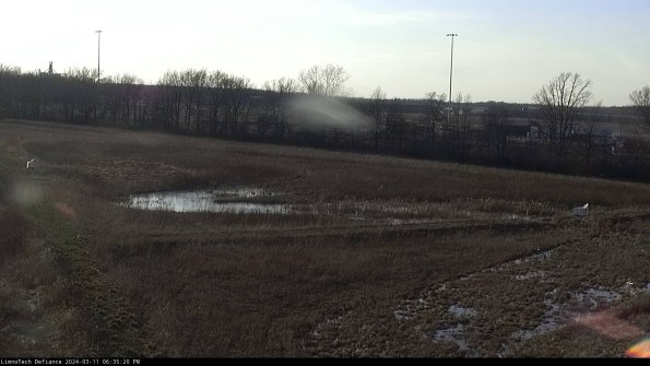 Cell 2_24-03-11_18-35-21-17