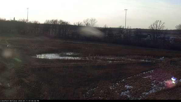 Cell 2_24-03-11_19-08-51-16