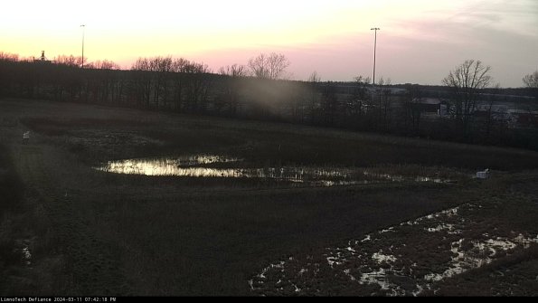 Cell 2_24-03-11_19-42-19-17