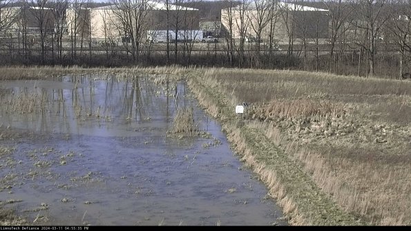 Cell 3 to 4_24-03-11_16-55-36-12