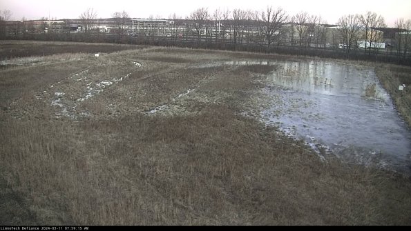 Cell 3_24-03-11_07-59-16-38