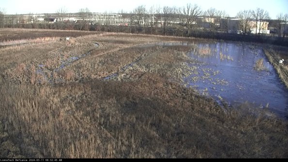 Cell 3_24-03-11_08-32-46-13