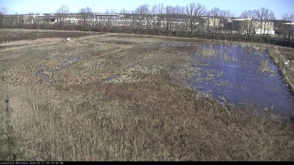 Cell 3_24-03-11_09-39-44-39