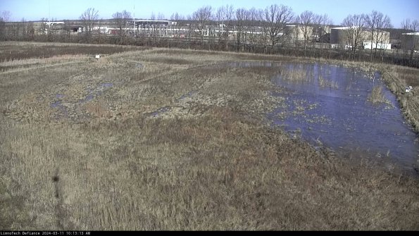 Cell 3_24-03-11_10-13-14-11