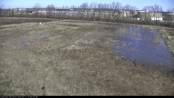 Cell 3_24-03-11_10-46-44-16