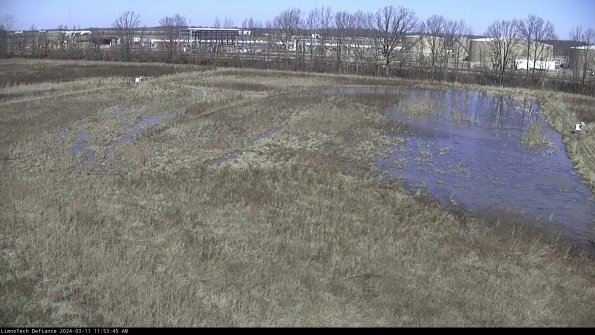 Cell 3_24-03-11_11-53-46-13