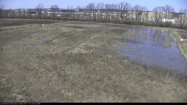 Cell 3_24-03-11_13-34-24-39