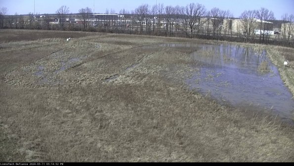 Cell 3_24-03-11_15-14-53-15