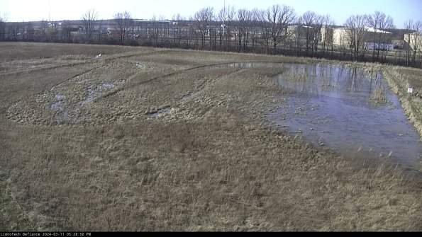 Cell 3_24-03-11_17-28-51-12