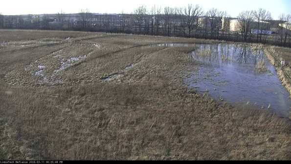 Cell 3_24-03-11_18-35-49-13