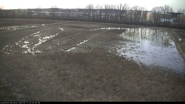 Cell 3_24-03-11_19-42-47-13