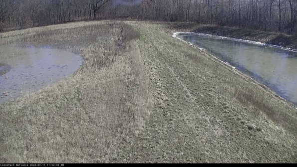 Cell 4 to Basin_24-03-11_11-54-44-15