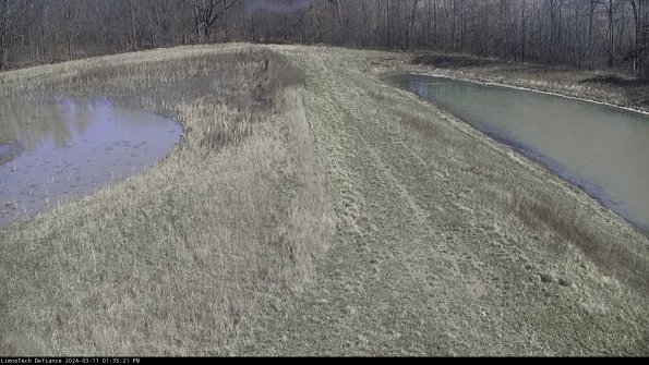 Cell 4 to Basin_24-03-11_13-35-22-15