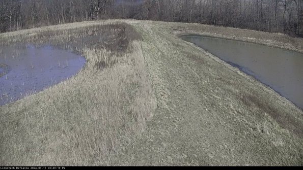 Cell 4 to Basin_24-03-11_15-49-20-12