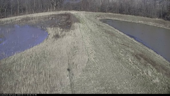 Cell 4 to Basin_24-03-11_16-56-20-13