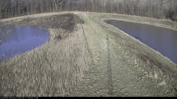 Cell 4 to Basin_24-03-11_18-03-18-14