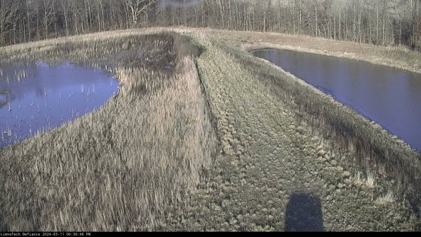 Cell 4 to Basin_24-03-11_18-36-47-16