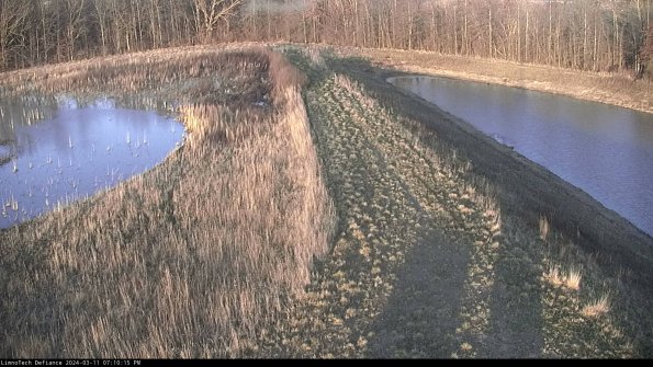 Cell 4 to Basin_24-03-11_19-10-16-14