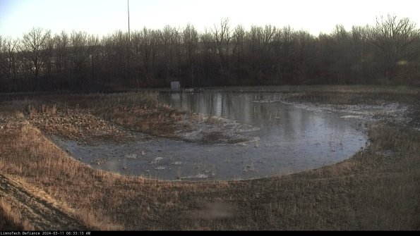 Cell 4_24-03-11_08-33-14-12