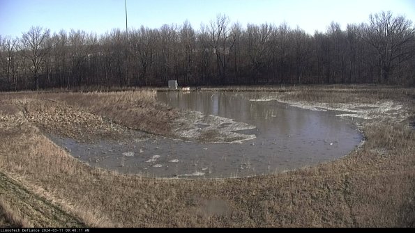 Cell 4_24-03-11_09-40-12-11