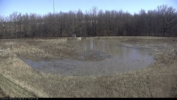 Cell 4_24-03-11_10-47-12-15