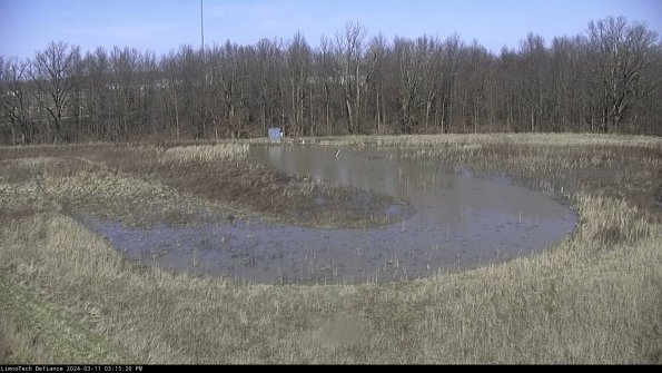 Cell 4_24-03-11_15-15-21-11