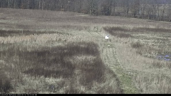 Cell 1 to 2_24-03-12_10-13-04-11