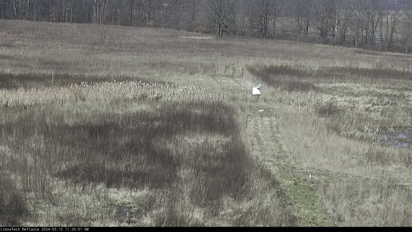 Cell 1 to 2_24-03-12_11-20-02-11