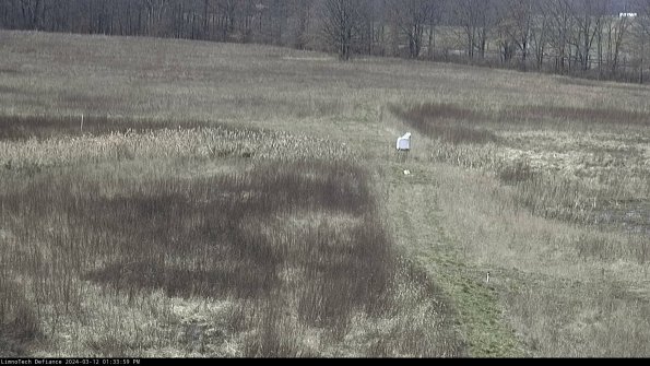 Cell 1 to 2_24-03-12_13-34-00-16