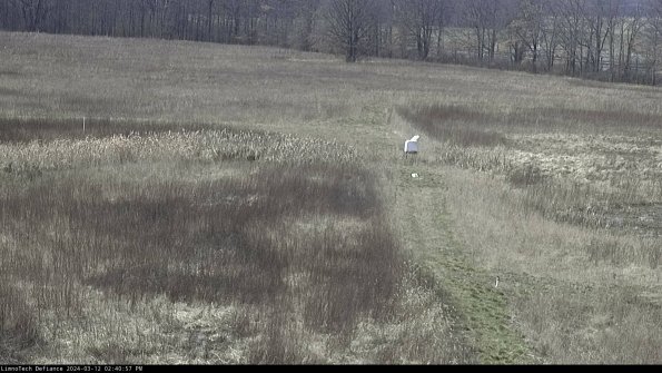 Cell 1 to 2_24-03-12_14-40-58-13