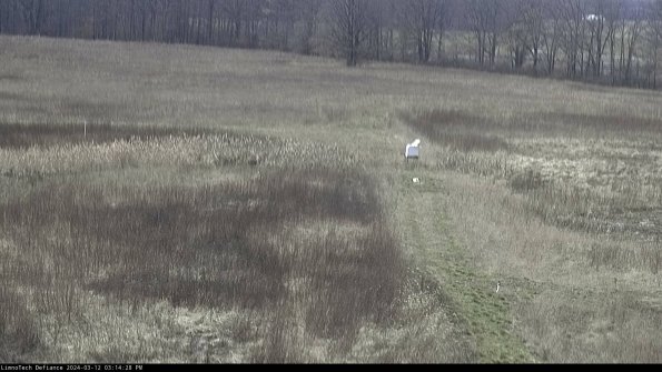 Cell 1 to 2_24-03-12_15-14-29-15