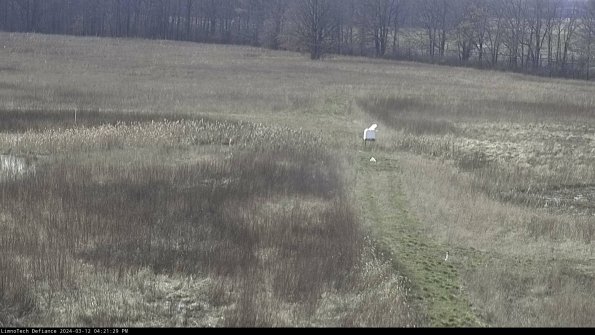 Cell 1 to 2_24-03-12_16-21-30-13