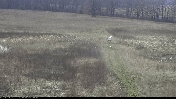 Cell 1 to 2_24-03-12_16-55-00-15