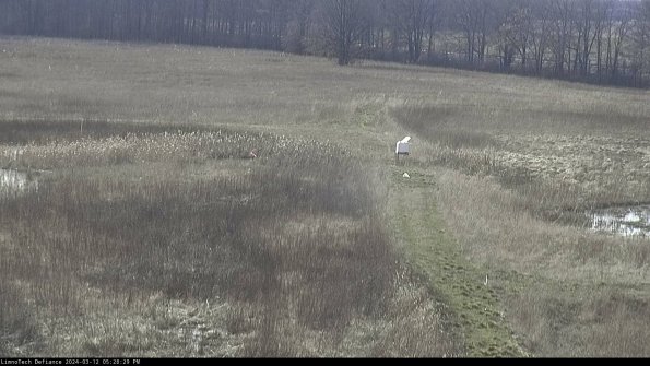 Cell 1 to 2_24-03-12_17-28-30-17