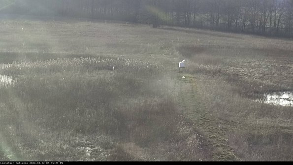 Cell 1 to 2_24-03-12_18-35-28-14