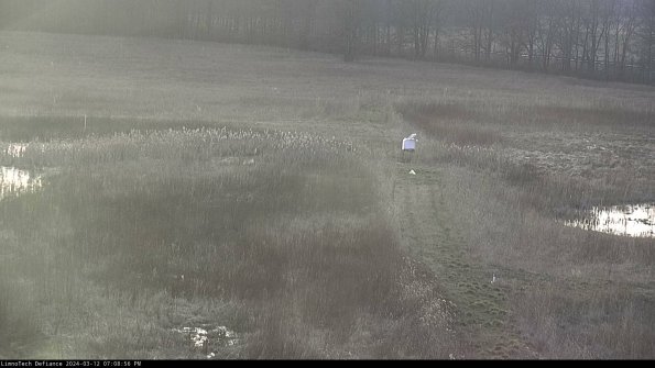 Cell 1 to 2_24-03-12_19-08-57-16