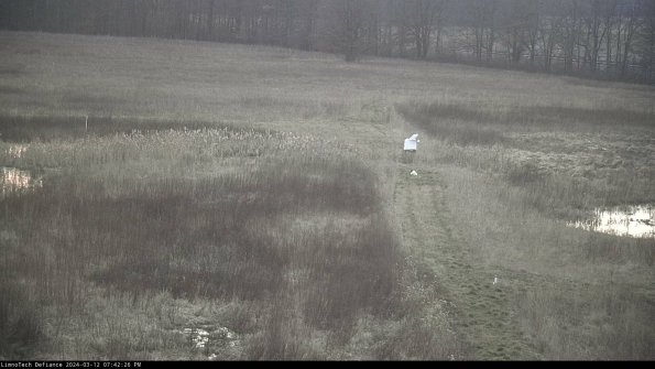 Cell 1 to 2_24-03-12_19-42-27-15