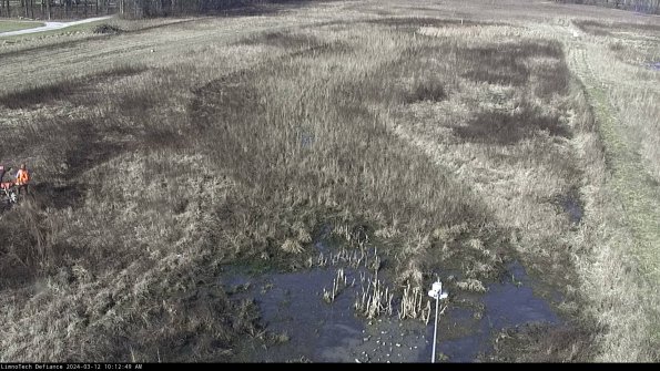 Cell 1_24-03-12_10-12-50-16