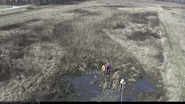 Cell 1_24-03-12_10-46-18-14