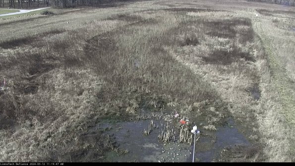 Cell 1_24-03-12_11-19-48-13