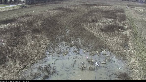 Cell 1_24-03-12_14-40-44-12