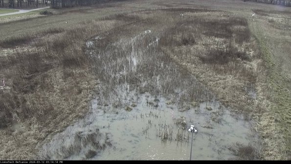 Cell 1_24-03-12_15-14-15-11