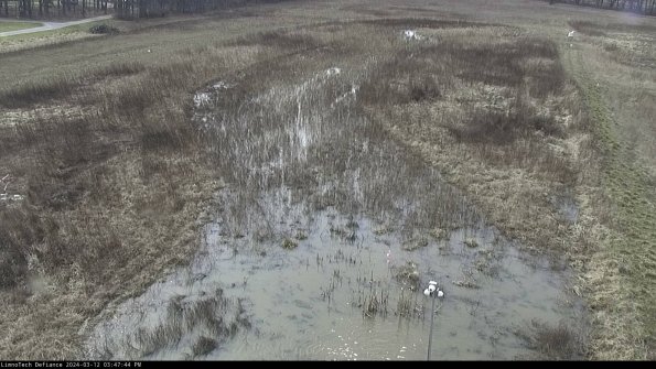 Cell 1_24-03-12_15-47-45-13