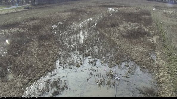 Cell 1_24-03-12_16-21-16-12