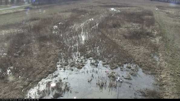 Cell 1_24-03-12_16-54-46-14