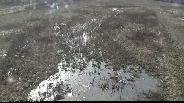 Cell 1_24-03-12_17-28-16-12