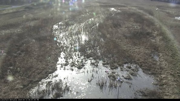 Cell 1_24-03-12_18-01-44-14