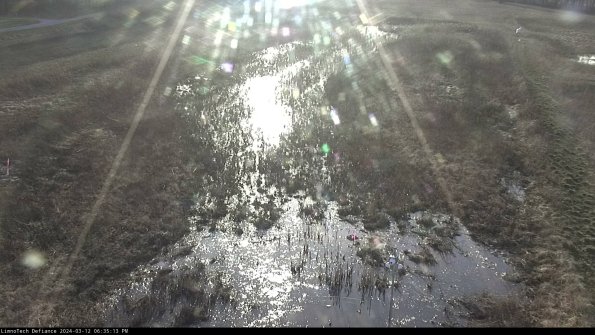 Cell 1_24-03-12_18-35-14-12