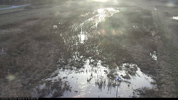 Cell 1_24-03-12_19-08-43-14