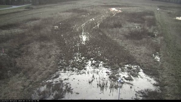 Cell 1_24-03-12_19-42-13-13